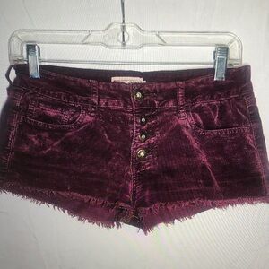 Velvet Burgundy Women Shorts